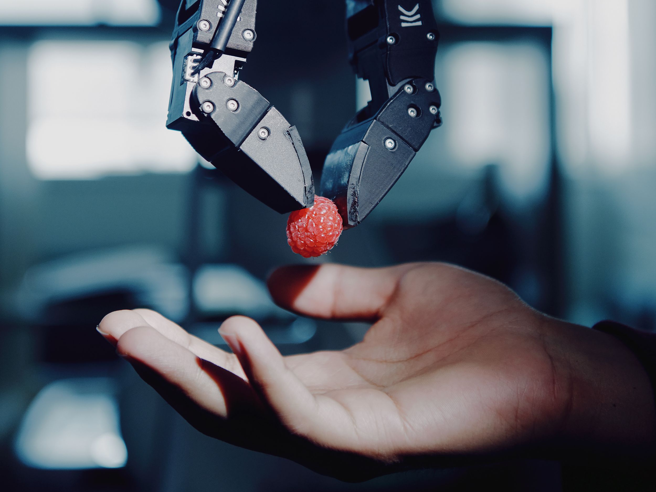 SEC algorithmic reporting