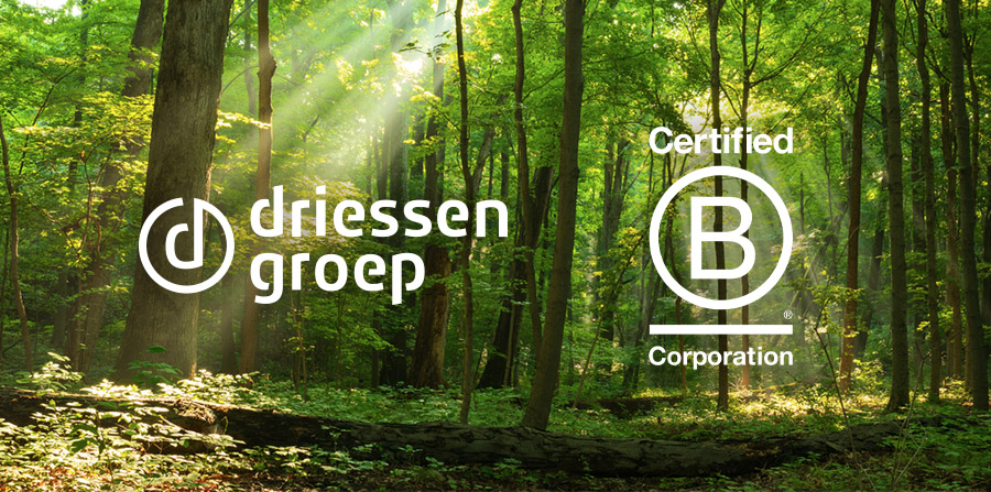 B Corp certification process