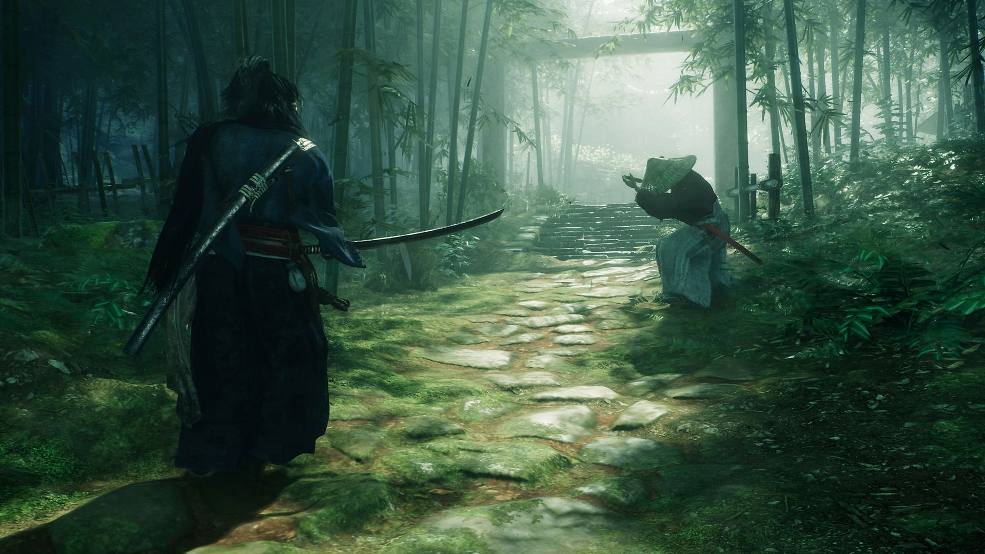 Ronin Reborn roguelike samurai brawler game art